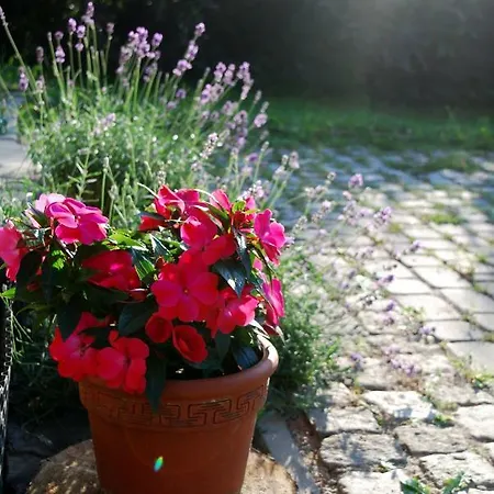 Krezelka Jaworzynka